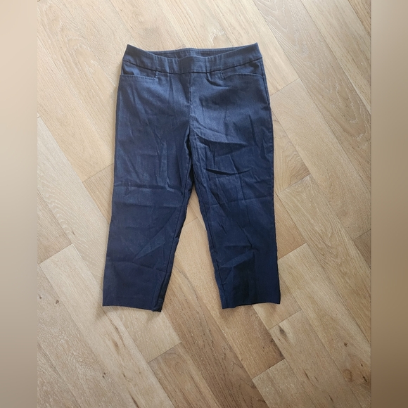 TIME AND TRU | NWOT blue dress capris - Picture 1 of 6